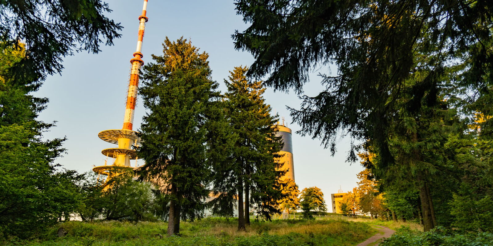 Weg auf dem Plateau des Großen Inselsberg