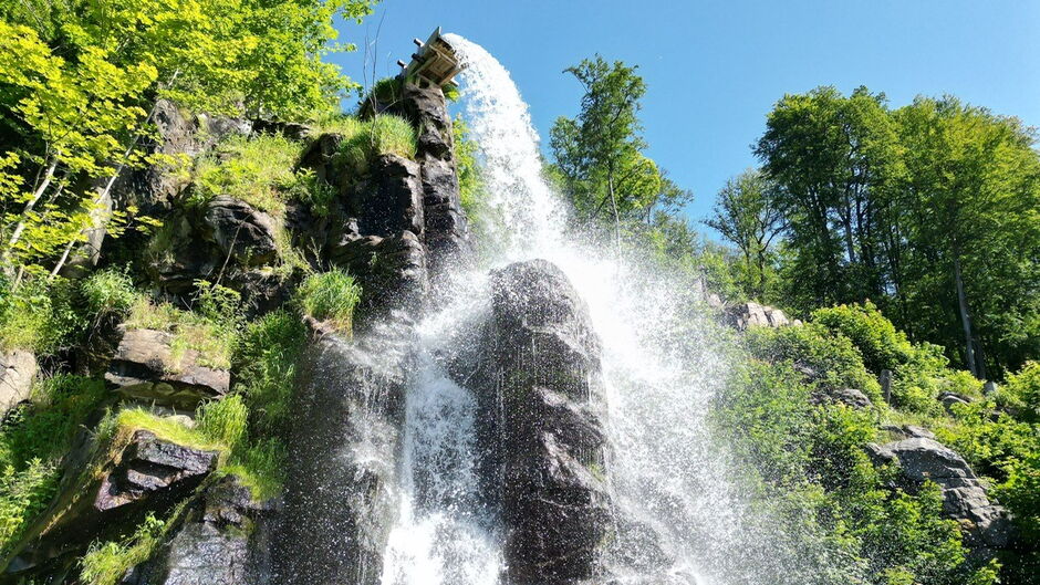 Wasserfall umgeben von Wald